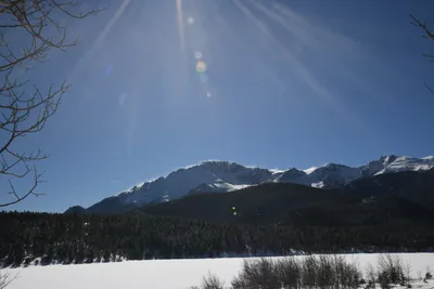 DSC_4877 (Large).JPG